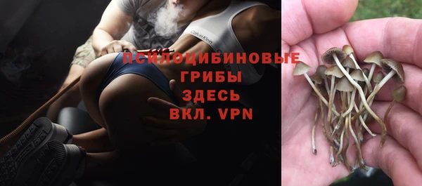 каннабис Ступино