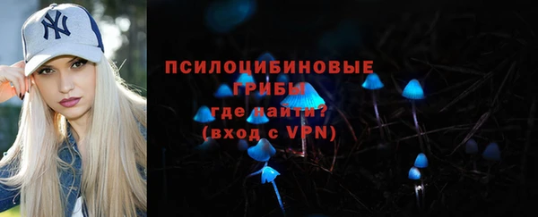 молекула духа Строитель