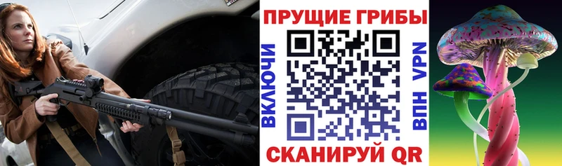 Псилоцибиновые грибы MAGIC MUSHROOMS  Наволоки 