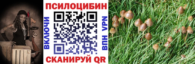 Галлюциногенные грибы Psilocybine cubensis Наволоки